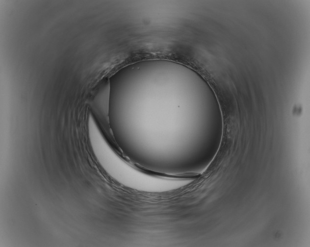 X0000091981298200709271419