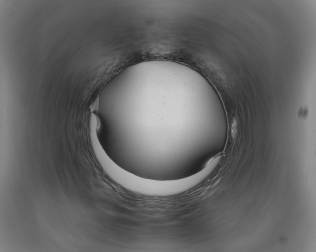 X0000091981299200709271419