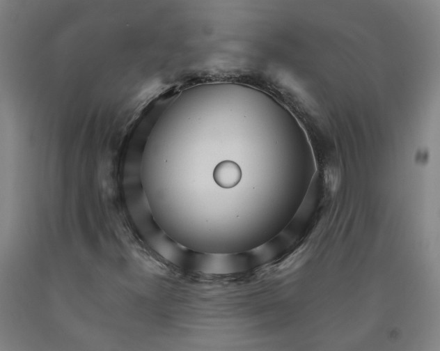 X0000091981300200709271419