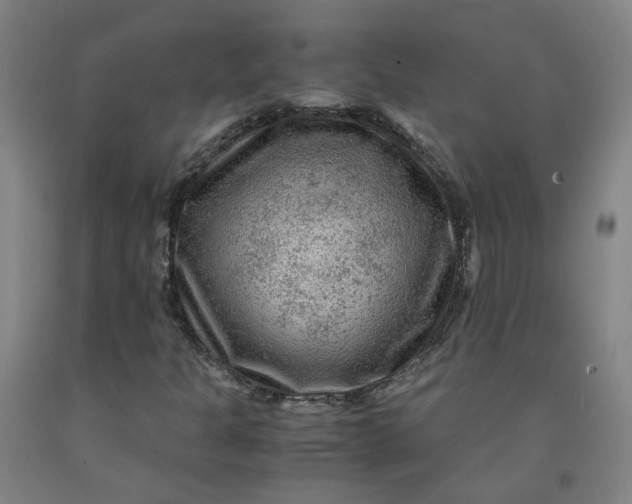 X0000091981301200709271419