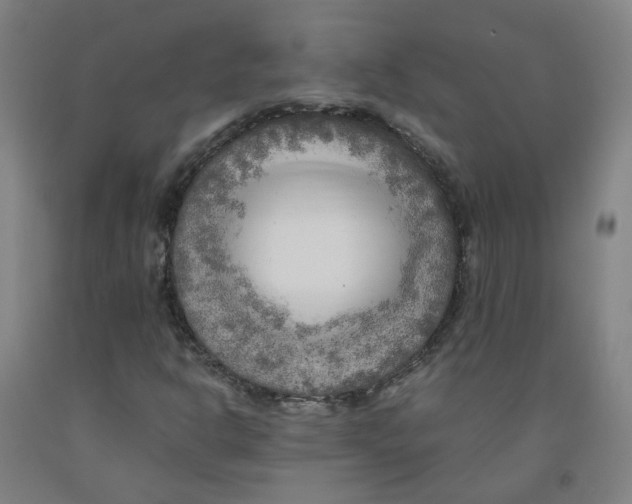 X0000091981302200709271419