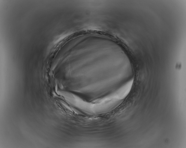 X0000091981303200709271419