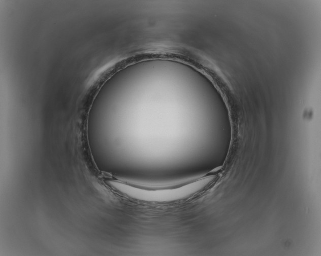 X0000091981304200709271419