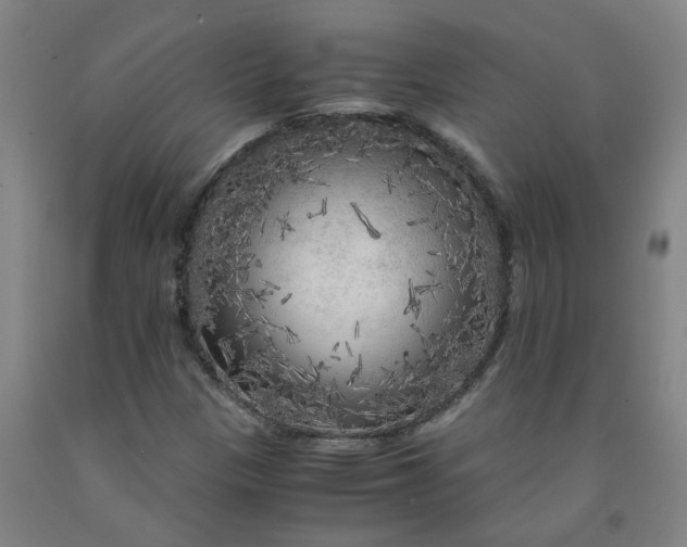 X0000091981305200709271419