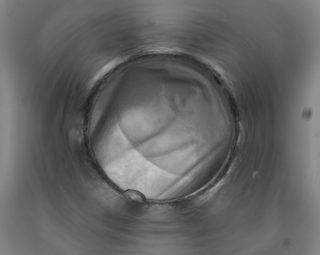 X0000091981306200709271419