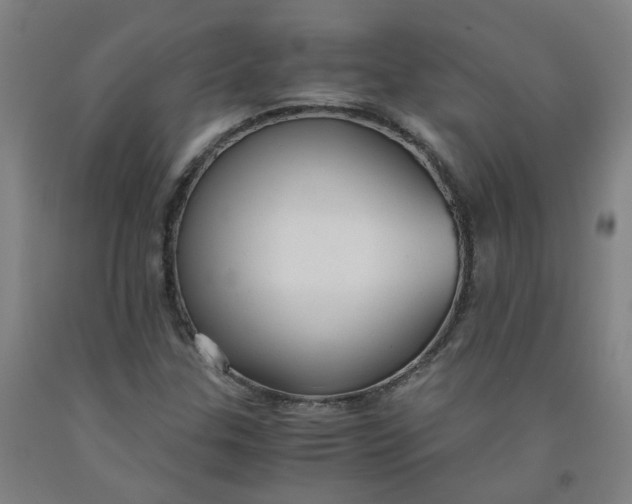 X0000091981307200709271419