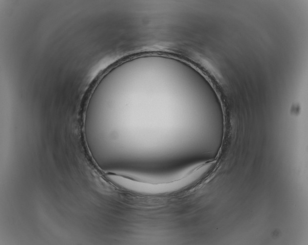 X0000091981308200709271419