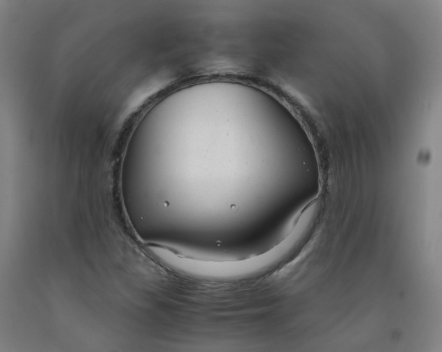 X0000091981309200709271419