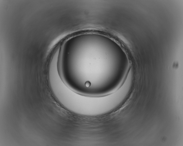 X0000091981310200709271419