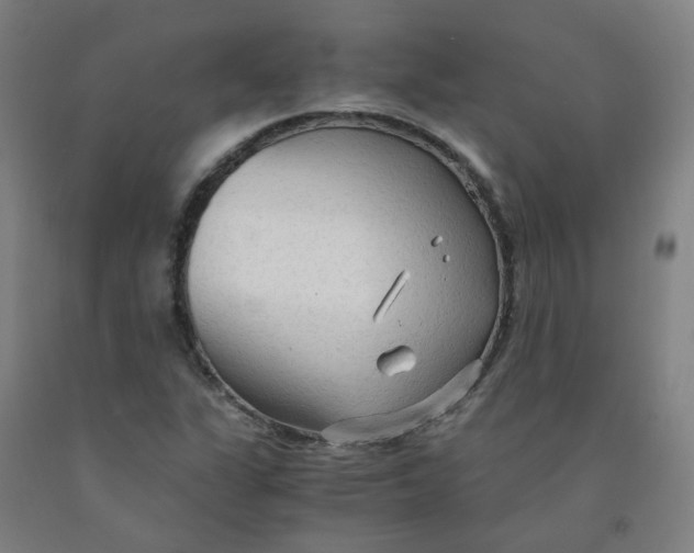 X0000091981311200709271419