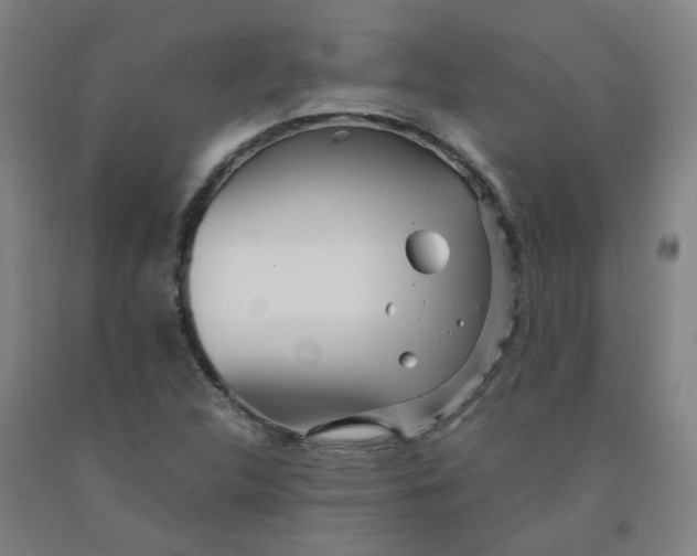 X0000091981312200709271419