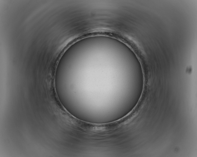 X0000091981313200709271419