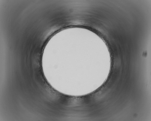 X0000091981314200709271419