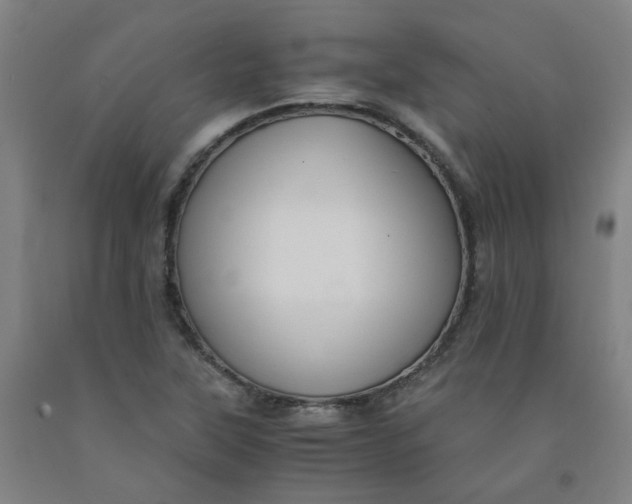 X0000091981315200709271419