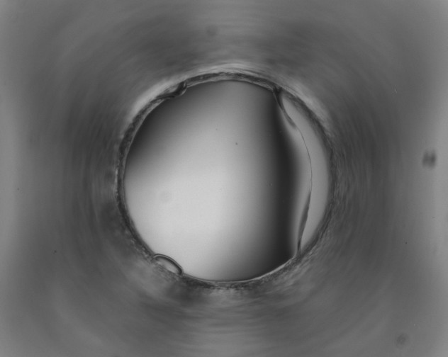 X0000091981316200709271419