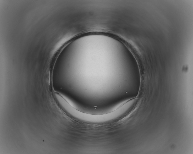 X0000091981317200709271419