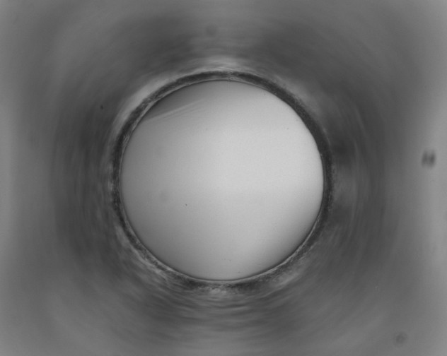 X0000091981318200709271419