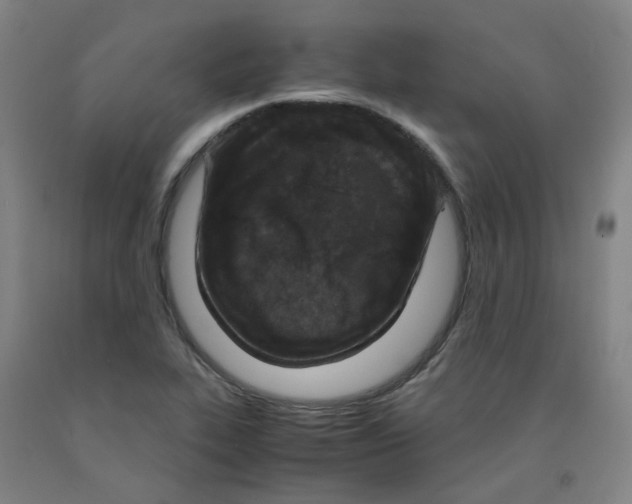 X0000091981319200709271419