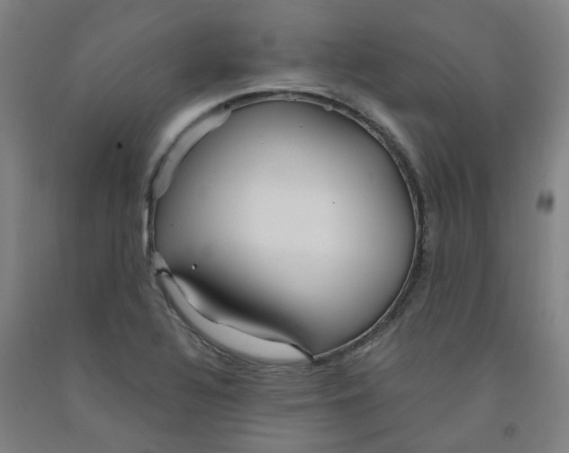 X0000091981320200709271419