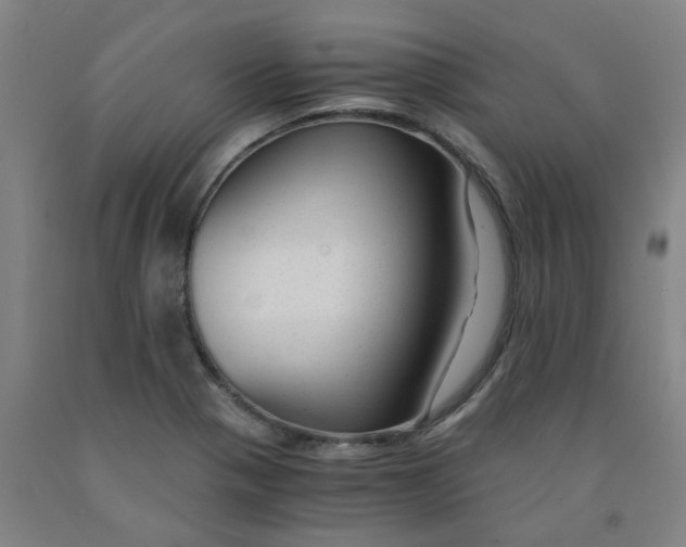 X0000091981321200709271419