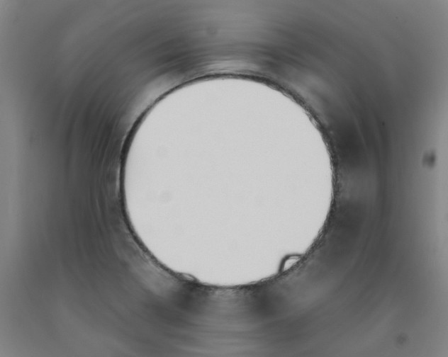 X0000091981322200709271419