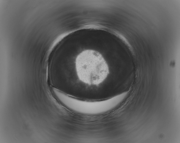 X0000091981323200709271419