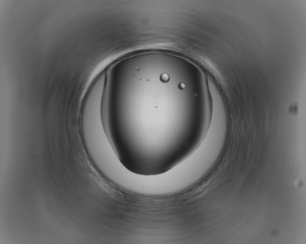 X0000091981324200709271419