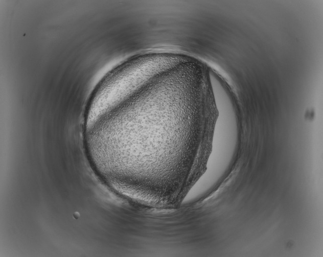 X0000091981325200709271419