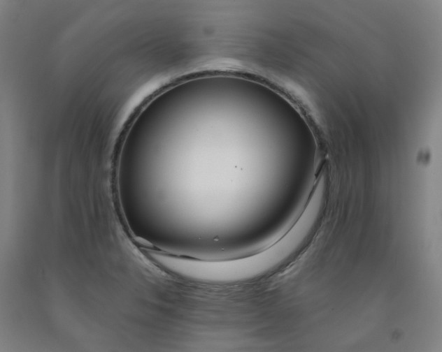 X0000091981326200709271419