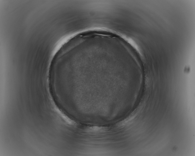 X0000091981327200709271419