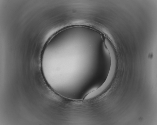 X0000091981328200709271419