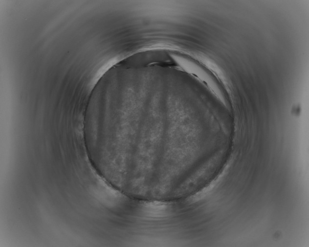 X0000091981329200709271419