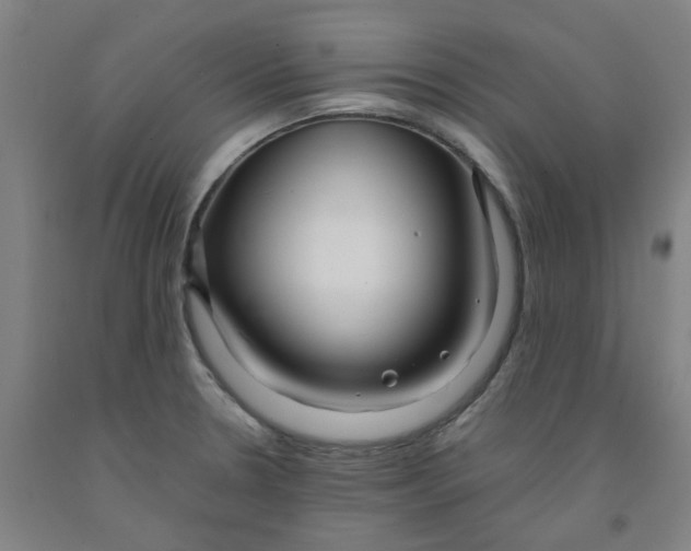 X0000091981330200709271419