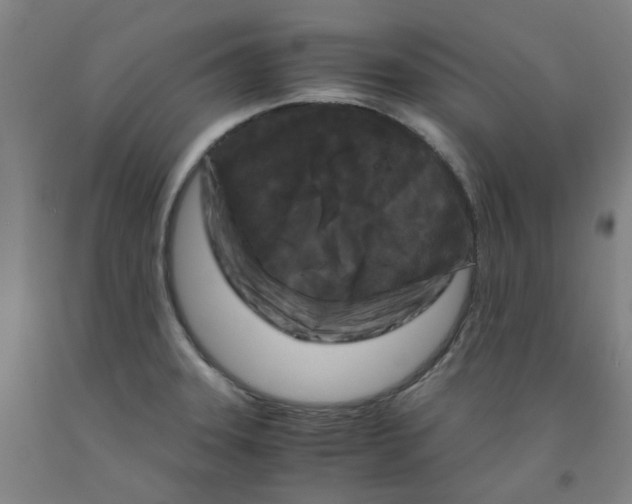 X0000091981331200709271419