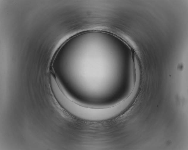 X0000091981332200709271419