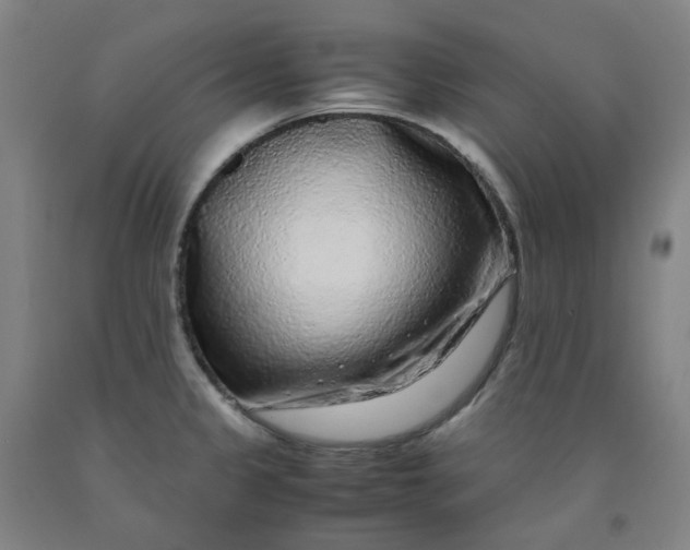 X0000091981333200709271419