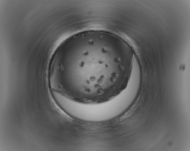 X0000091981334200709271419