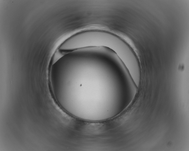 X0000091981335200709271419