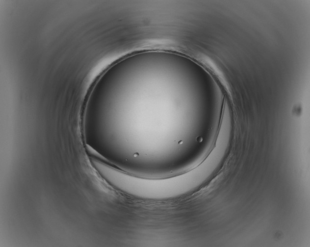 X0000091981336200709271419