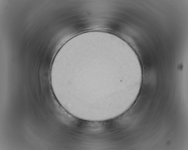 X0000091981338200709271419