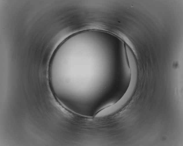 X0000091981339200709271419