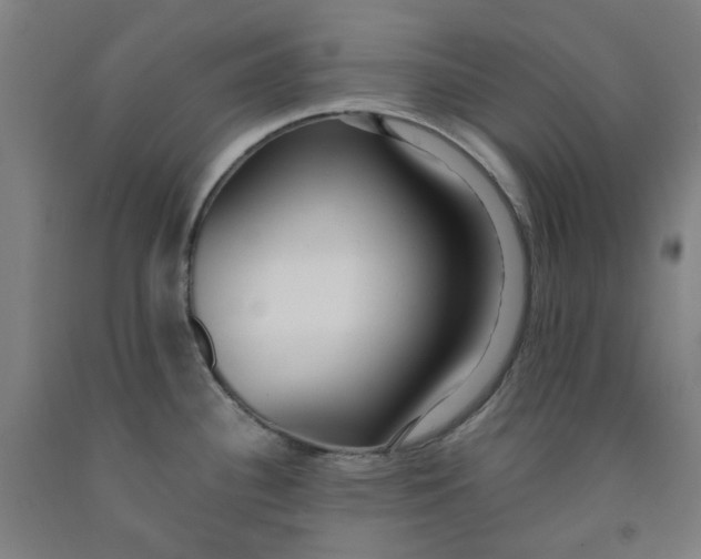 X0000091981340200709271419