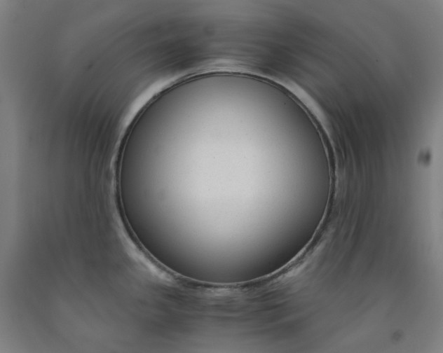 X0000091981341200709271419