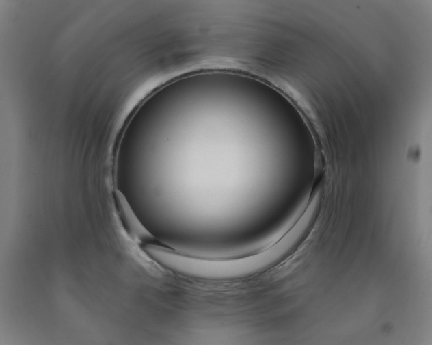 X0000091981342200709271419