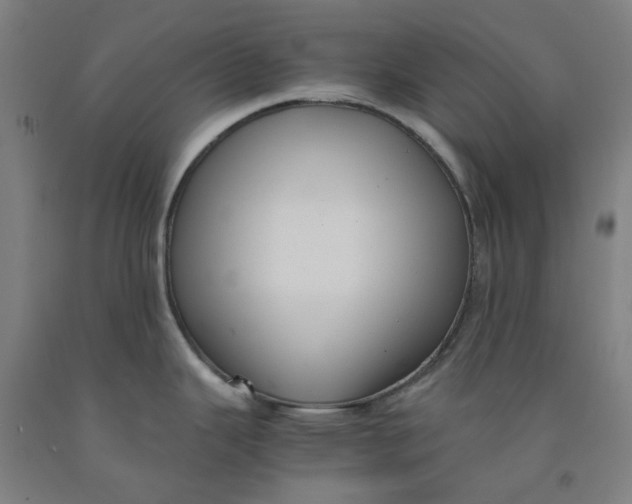 X0000091981343200709271419