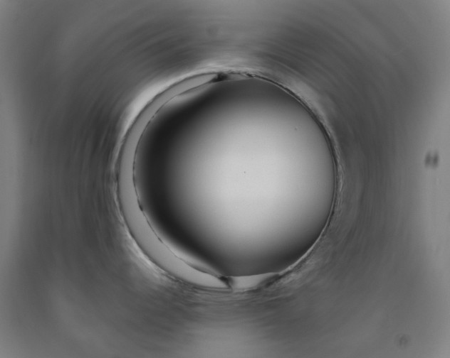 X0000091981344200709271419