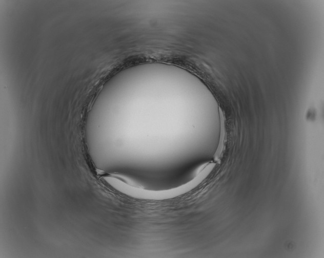 X0000091981345200709271419