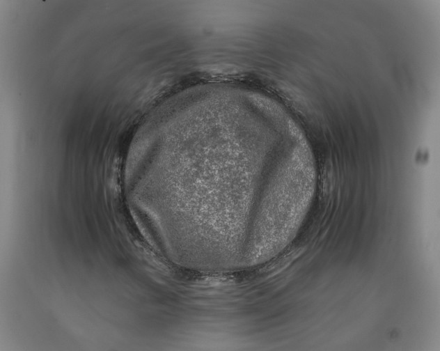 X0000091981346200709271419