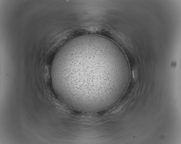 X0000091981347200709271419