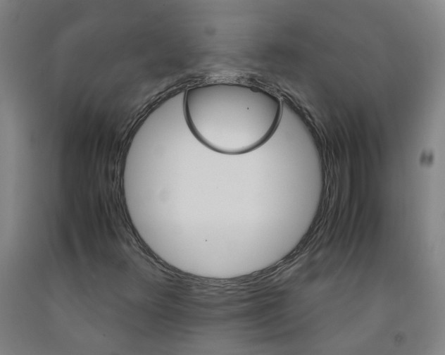 X0000091981348200709271418